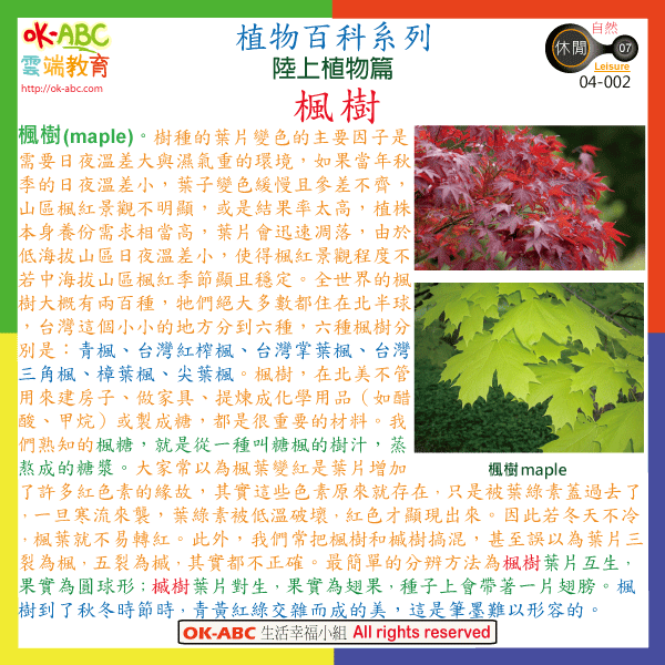 标题 : 植物百科系列 陆上植物篇-枫树04-002 (点击 下方查看公告)